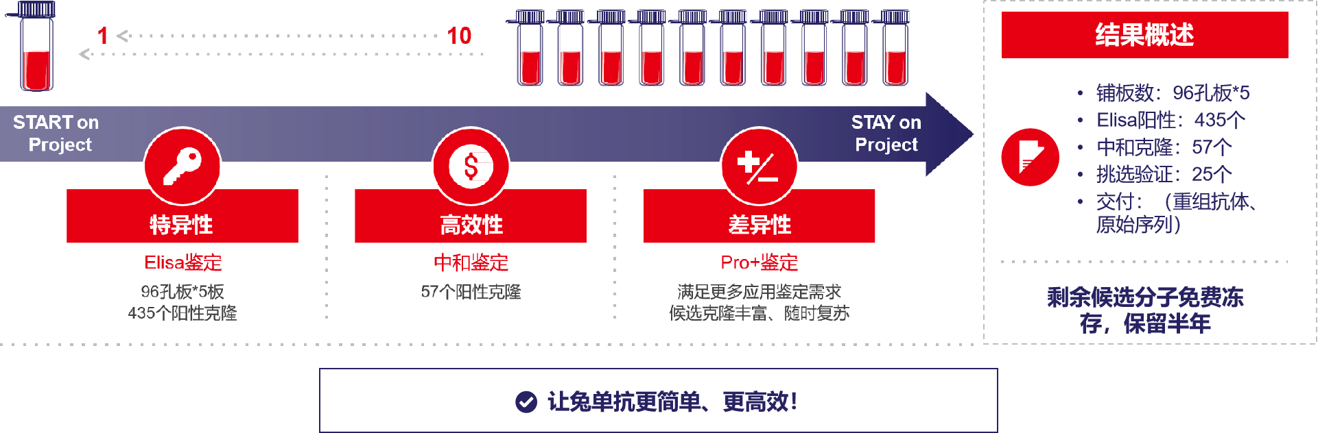 案例：一个兔单克隆中和抗体的诞生