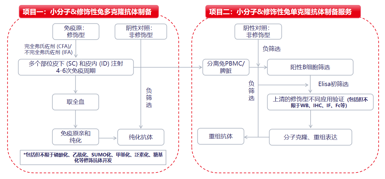 简介