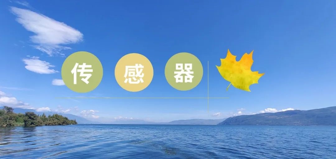 智慧水务中,仪表与传感器有何区别? 智慧水务中,仪表与传感器有何区别?