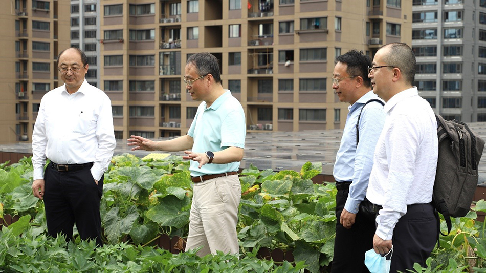 华东建筑集团股份有限公司副总裁龙革一行来华汇考察交流 华东建筑集团股份有限公司副总裁龙革一行来华汇考察交流