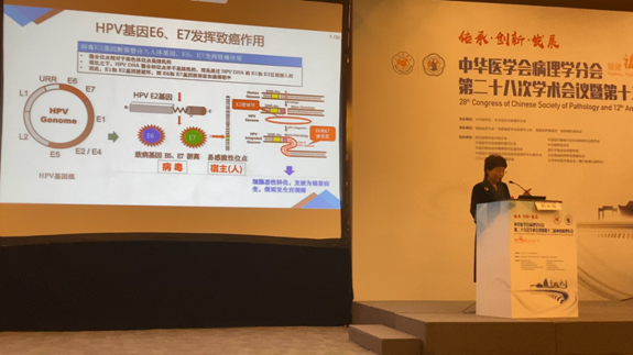 第十二届中国病理年会：科蒂亚生物专题会精彩回顾