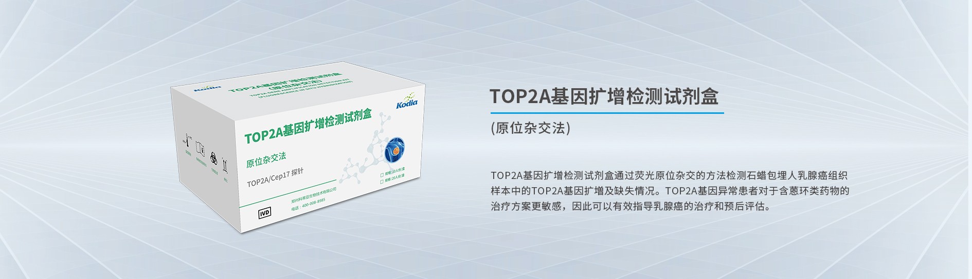 TOP2A基因扩增检测试剂盒(原位杂交法)