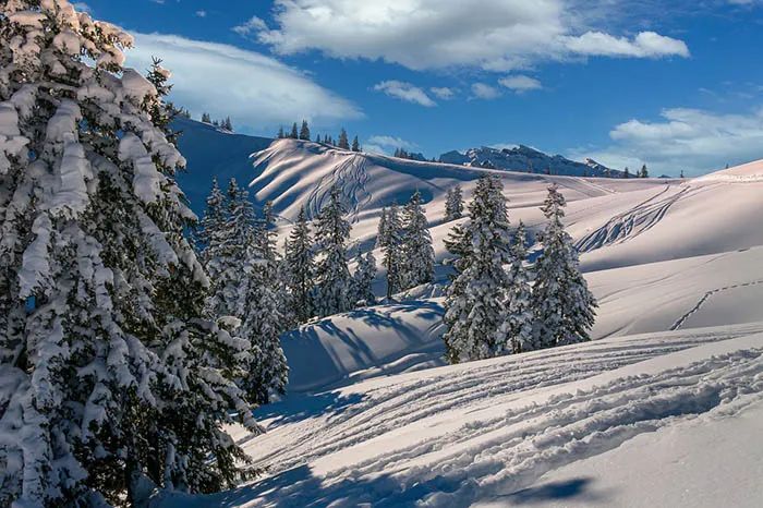 冰雪旅游如何借“冬”风而起? 冰雪旅游如何借“冬”风而起?