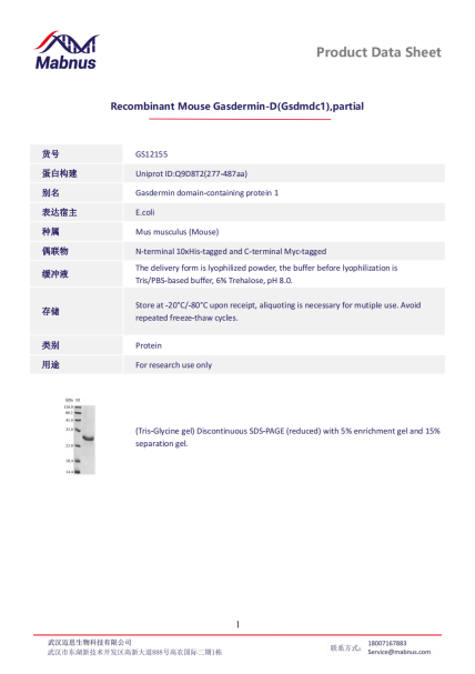 细胞焦亡&GSDM家族：GSDMD