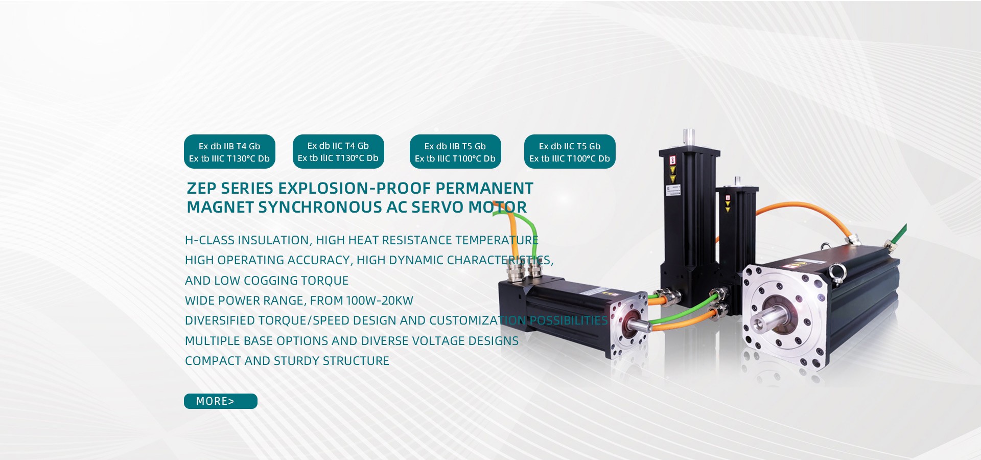 ZiS Series Integrated Servo Motor