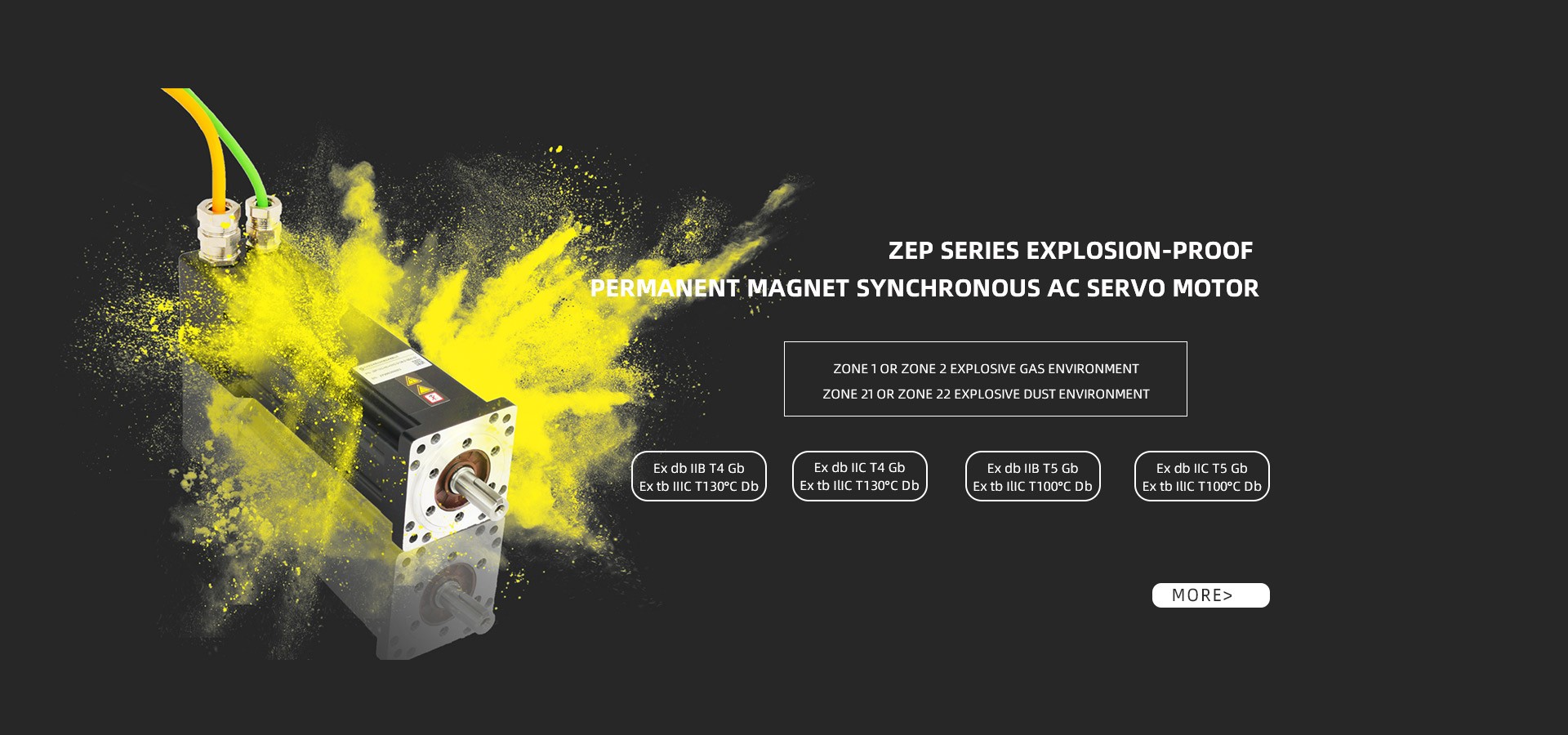 ZEP Series Explosion-Proof Servo Motors