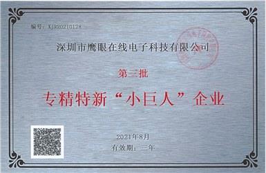 專精特新“小巨人”企業(yè) 專精特新“小巨人”企業(yè)