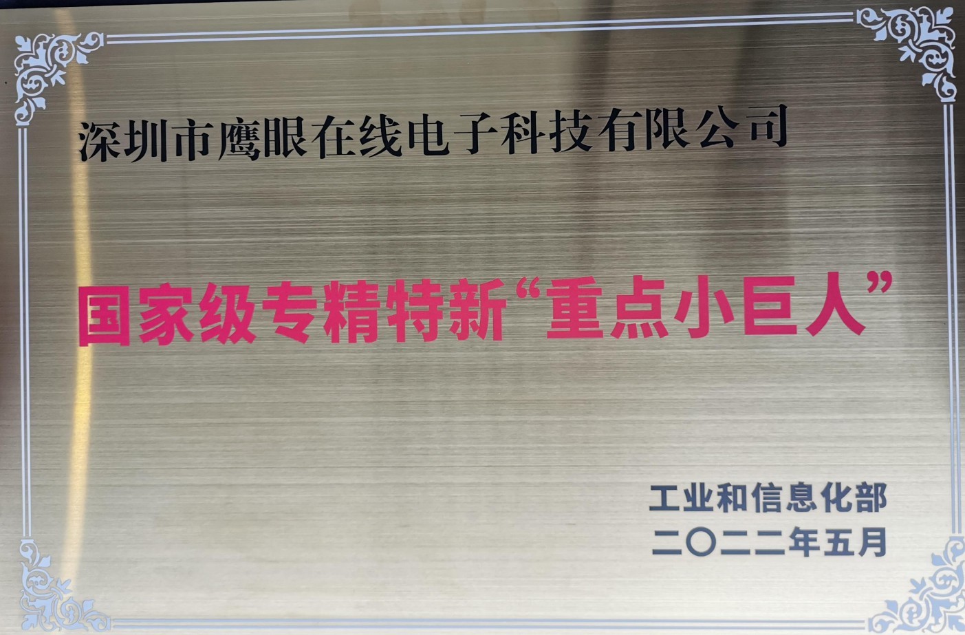 國家專精特新“重點小巨人” 國家專精特新“重點小巨人”