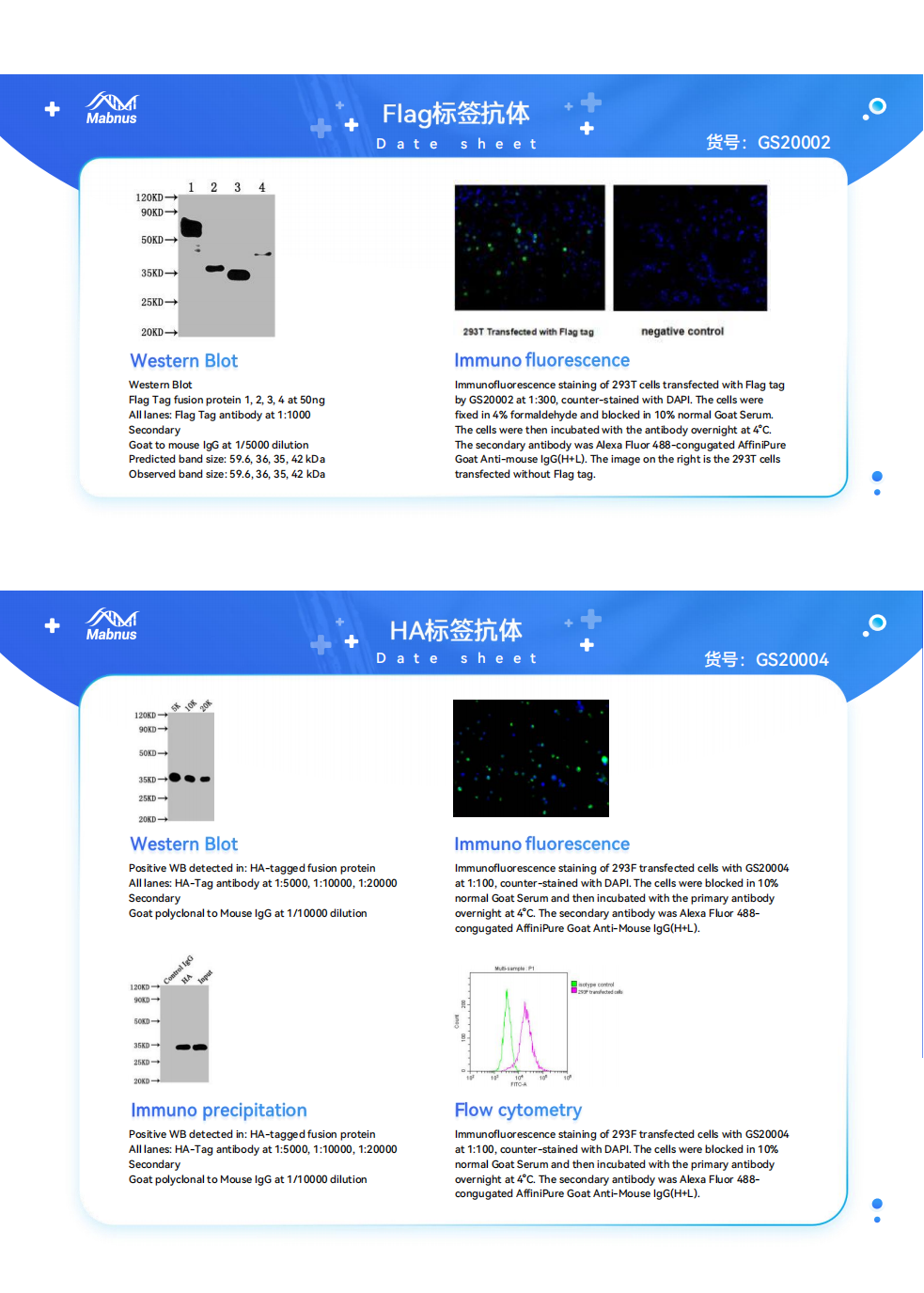 重组标签凝胶&磁珠系列产品：8折活动