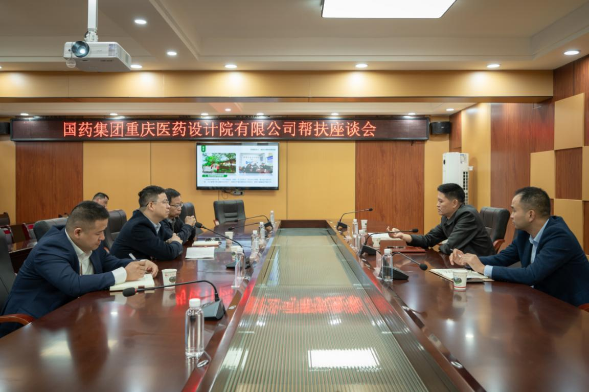 国药集团重庆医药设计院有限公司赴帮扶村调研乡村振兴工作