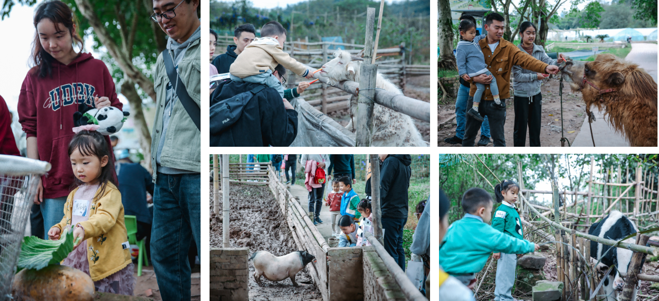 健康“零距離”！ ——公司舉辦2023年親子嘉年華活動