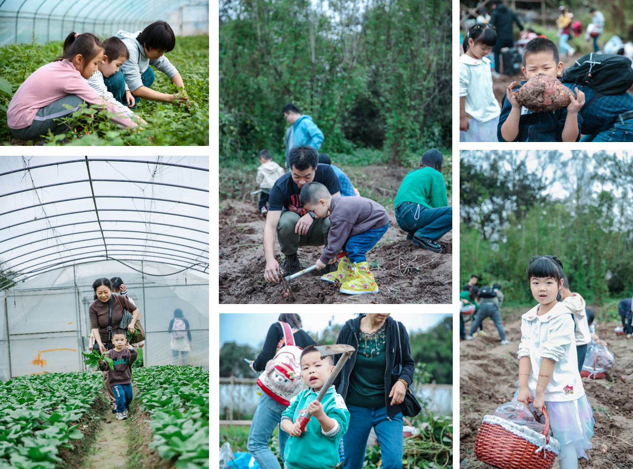 健康“零距離”！ ——公司舉辦2023年親子嘉年華活動