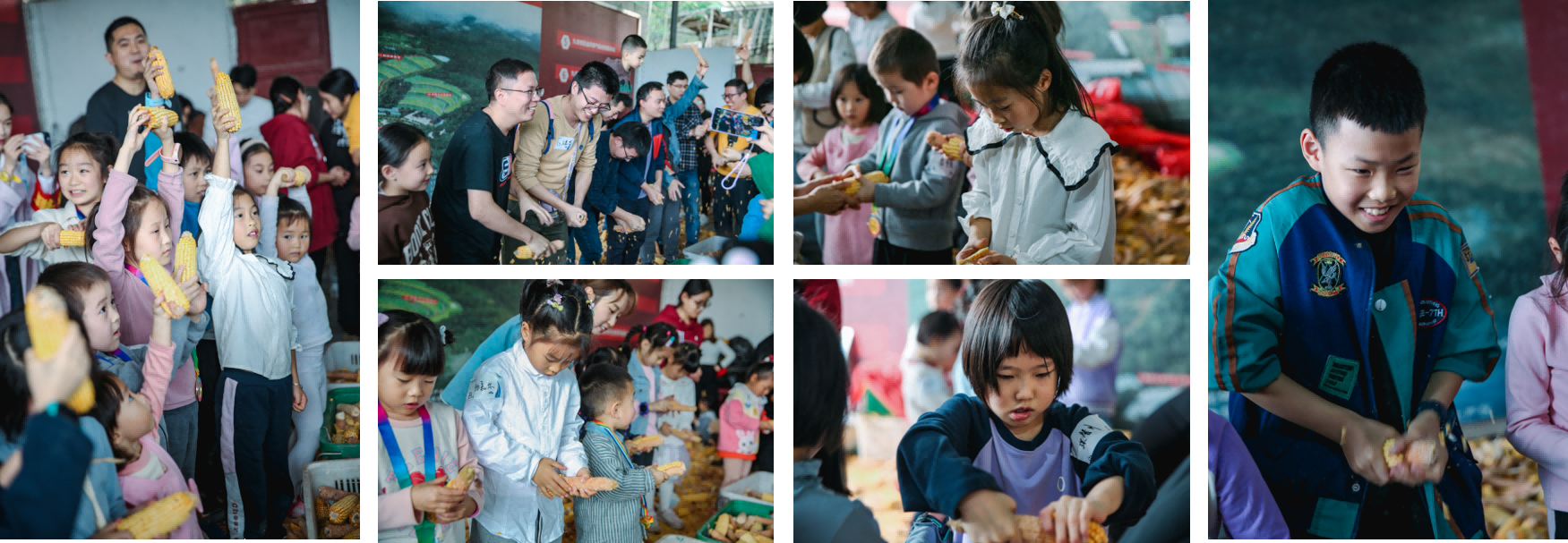 健康“零距離”！ ——公司舉辦2023年親子嘉年華活動