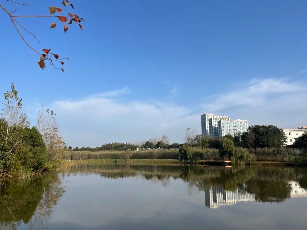 舊容換新顏！南山雅集環(huán)境整治項目完工，驚艷亮相！