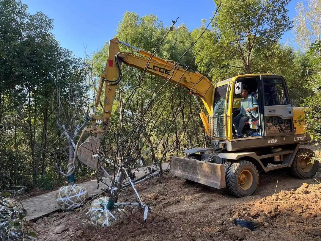 攻堅克難 趕搶工期 | 南山雅集項目建設(shè)不停步