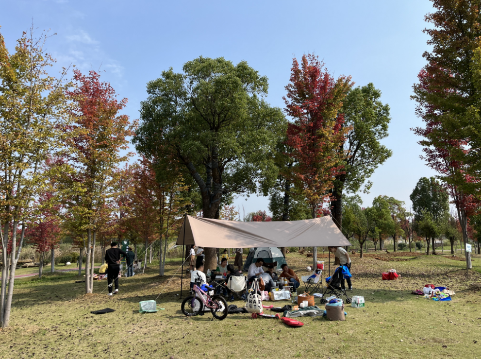 不負秋日暖陽，露營燒烤走起 | 未來城市公園賞楓攻略（二）