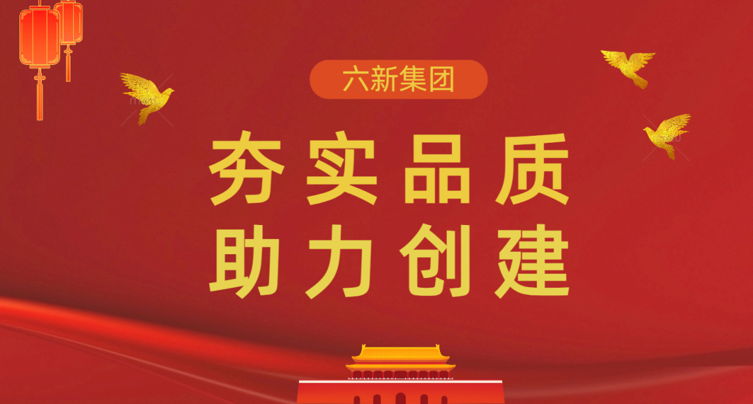 夯實品質(zhì) 助力創(chuàng)建丨六新集團開展重點項目督導(dǎo)檢查