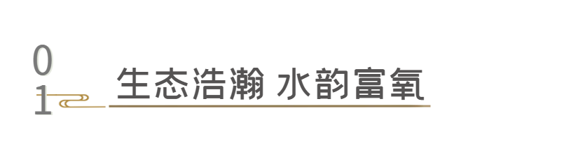 金寧未來 | 周末出行進階指南 回歸自然懷抱！