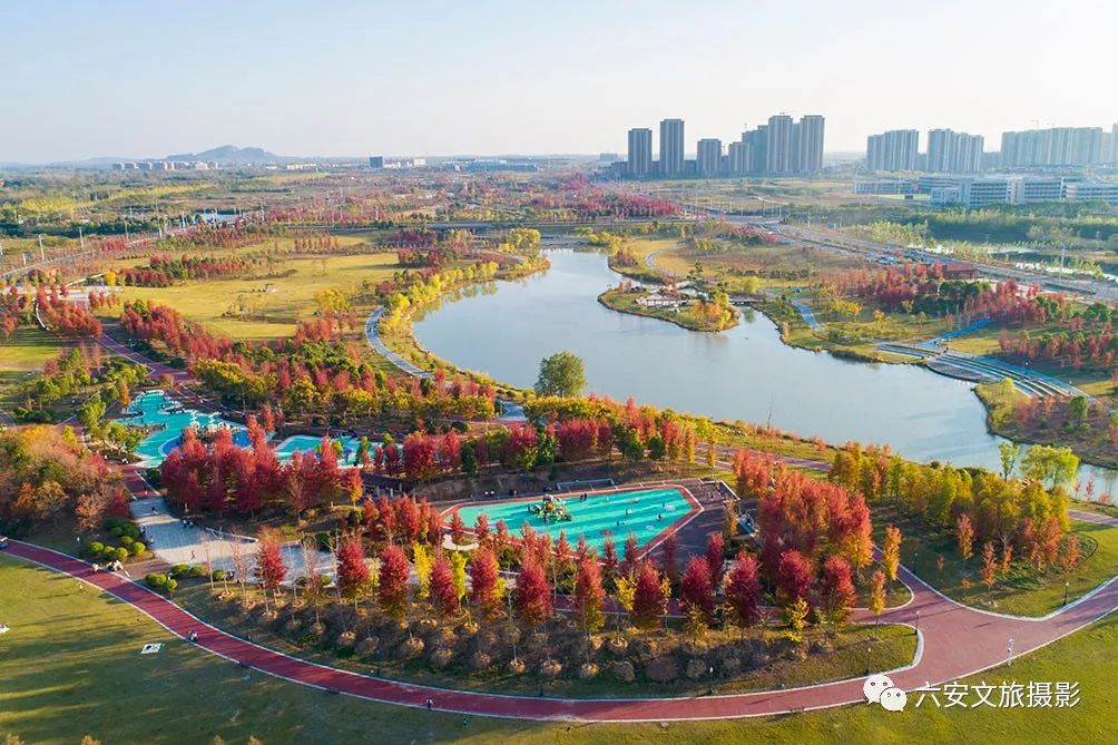 華東地區(qū)最大的美國紅楓林--金安未來城市公園秋色美景