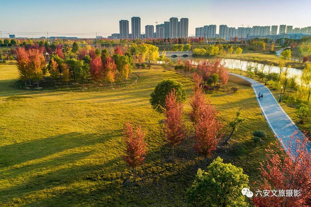 華東地區(qū)最大的美國紅楓林--金安未來城市公園秋色美景