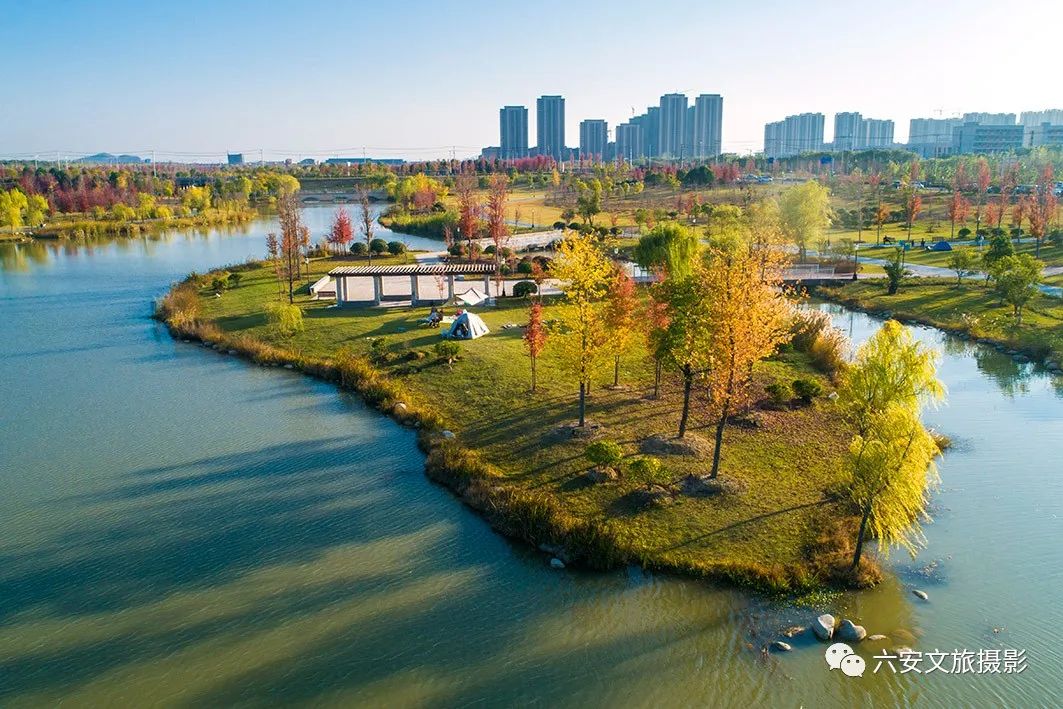 華東地區(qū)最大的美國(guó)紅楓林--金安未來城市公園秋色美景