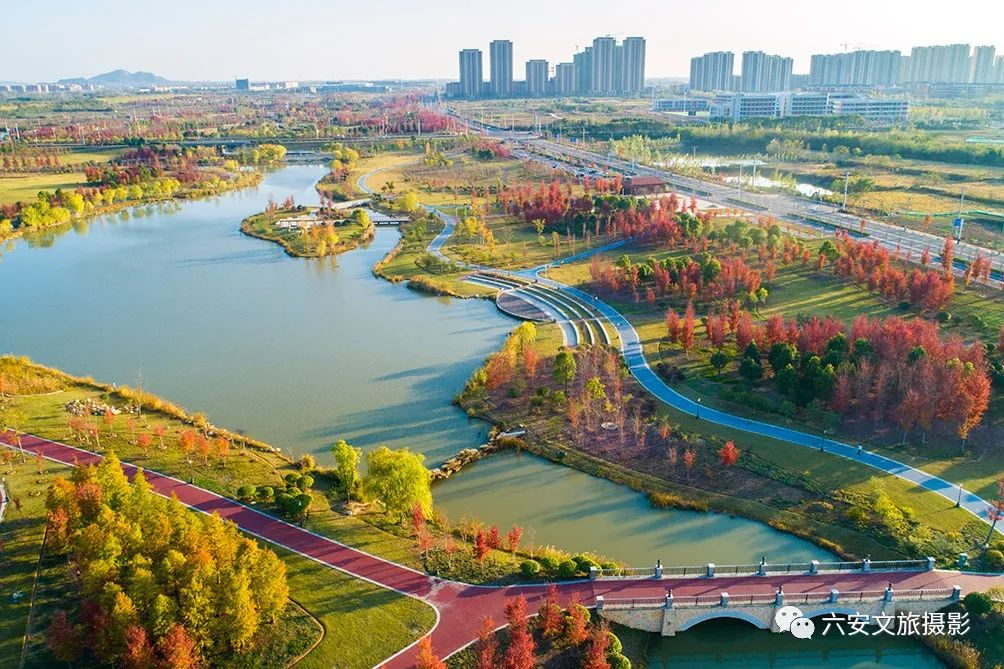 華東地區(qū)最大的美國紅楓林--金安未來城市公園秋色美景