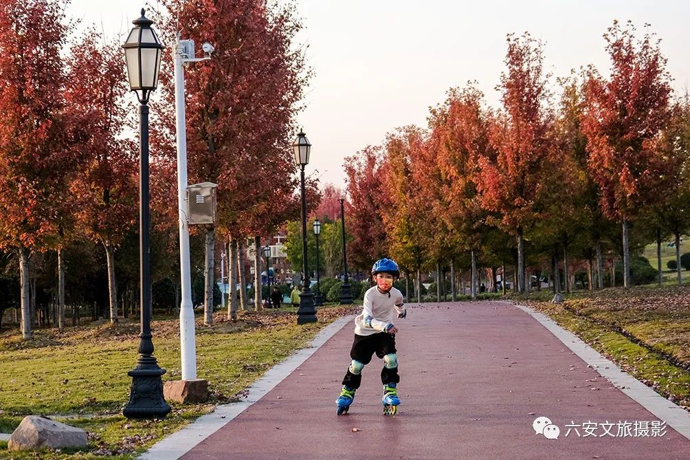 華東地區(qū)最大的美國(guó)紅楓林--金安未來城市公園秋色美景