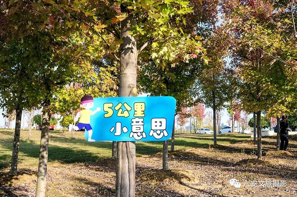 華東地區(qū)最大的美國紅楓林--金安未來城市公園秋色美景