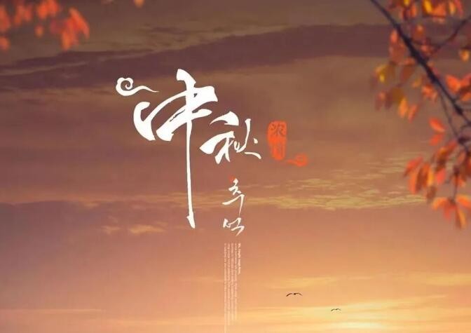 月光所至 美滿勝意