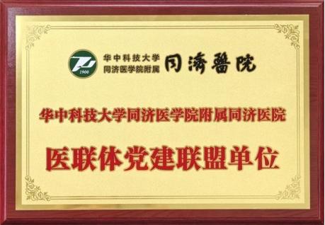 我院成为华中科技大学同济医学院附属同济医院医联体党建联盟单位