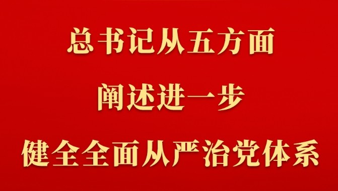 總書記從五方面闡述進(jìn)一步健全全面從嚴(yán)治黨體系