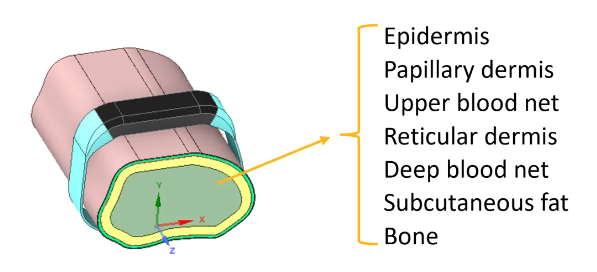 Ansys 智能手環(huán)心率傳感器仿真