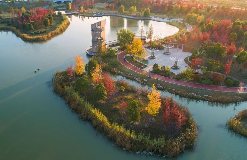 邀您秋日賞楓 | 金寧未來開展公園品質(zhì)提升行動