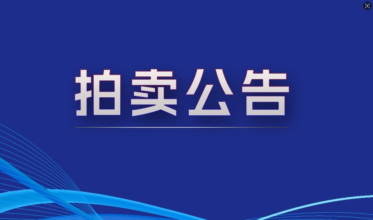 拍賣(mài)公告 拍賣(mài)公告