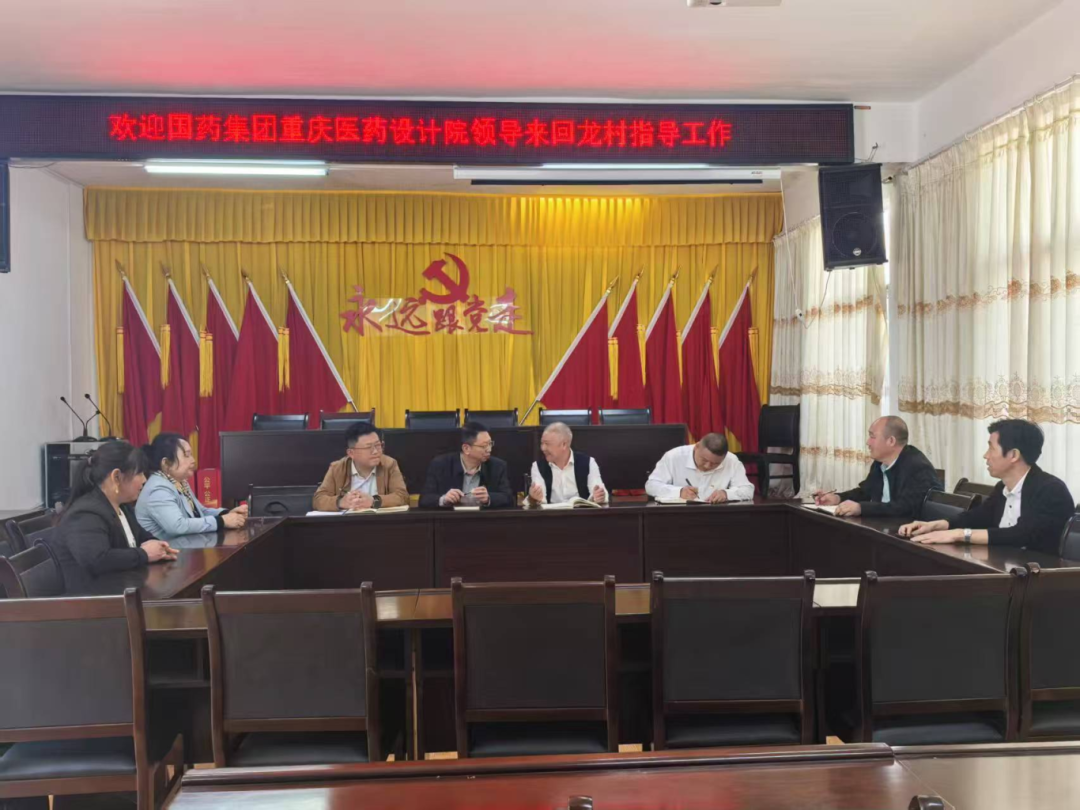 我司赴兴隆镇回龙村开展乡村振兴专题调研